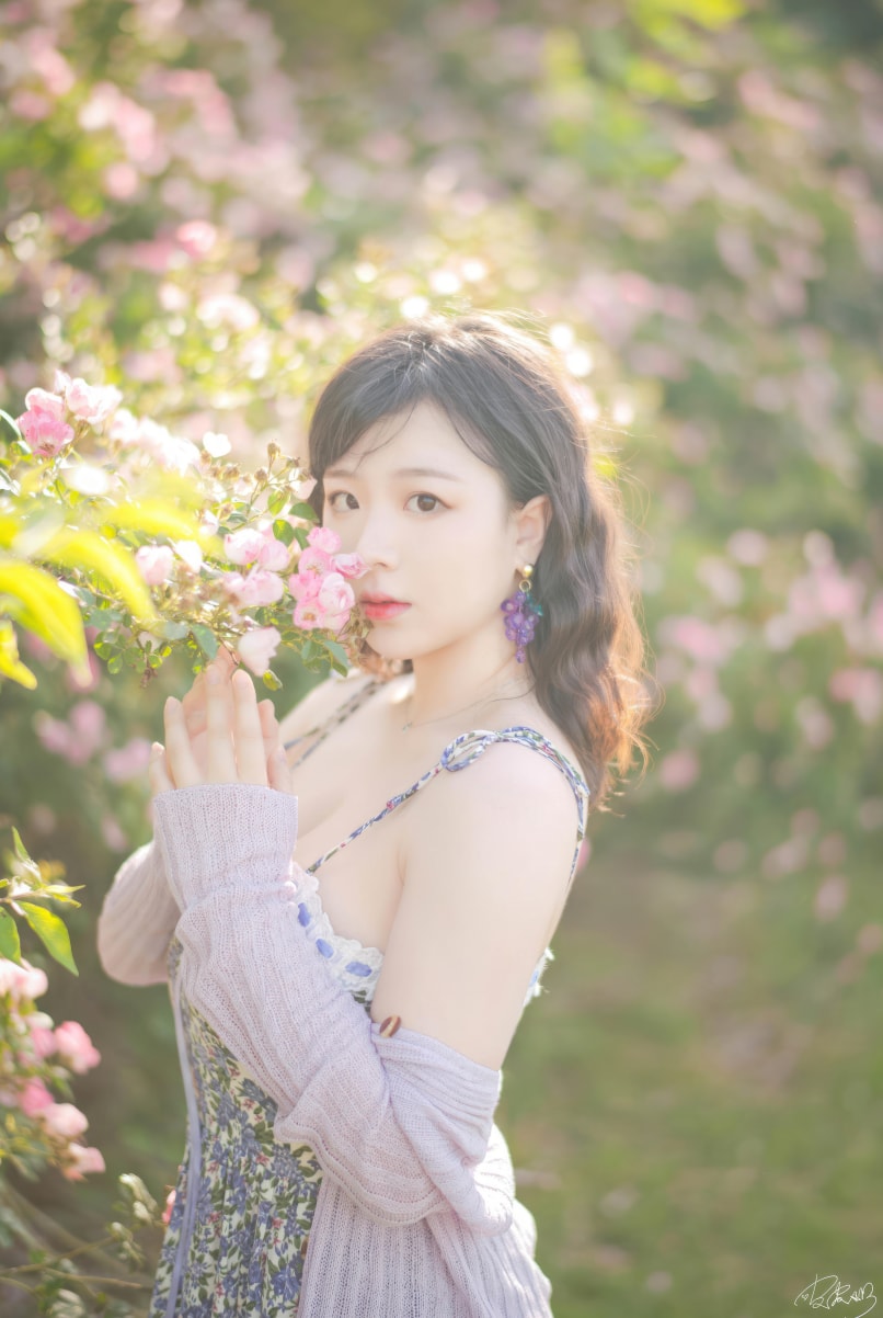 皮皮奶可可爱了啦 蔷薇花图片集欣赏